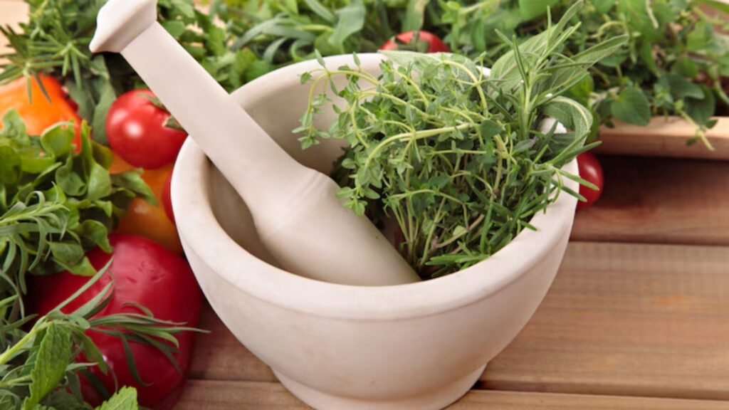 Tarragon: Health Benefit, Use, and Culinary Secret the King of Herb