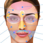 Face: Anatomy, Functions, and Care for a Healthier, Happier You